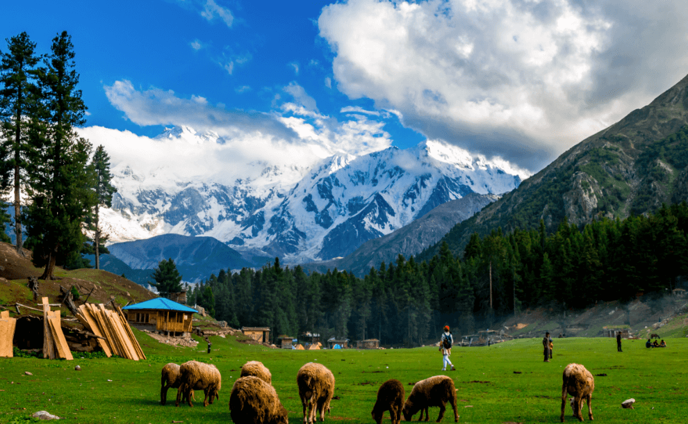 Fairy Meadows